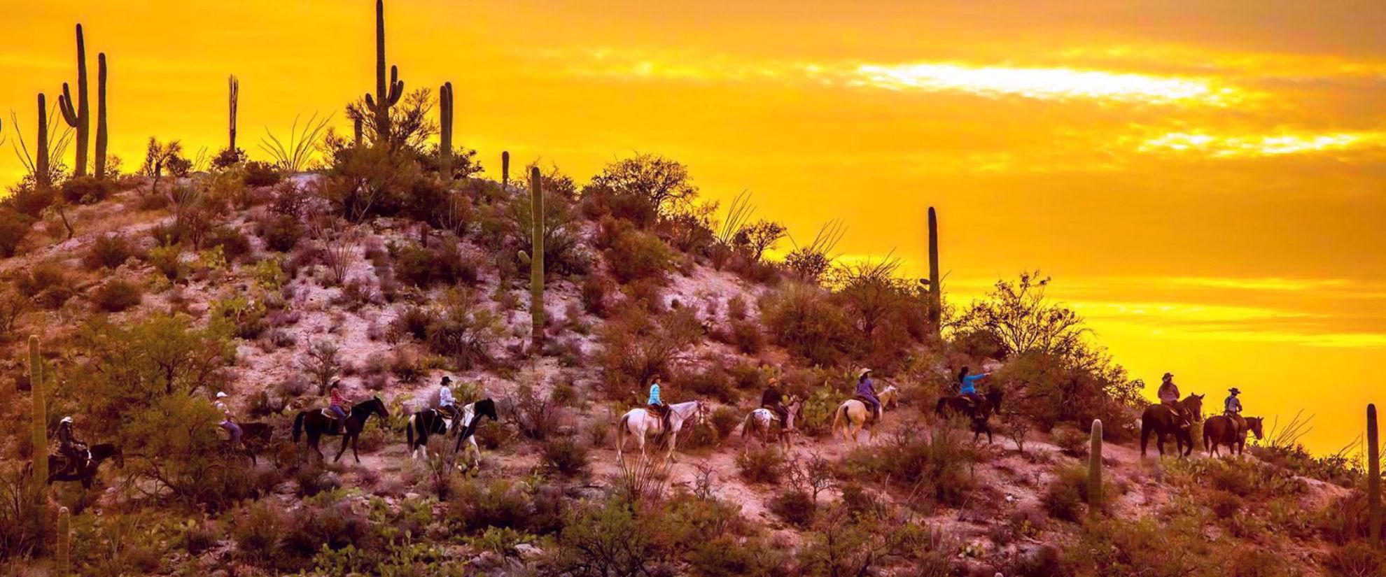 sunset horseback ride in desert around Tanque Verde Ranch