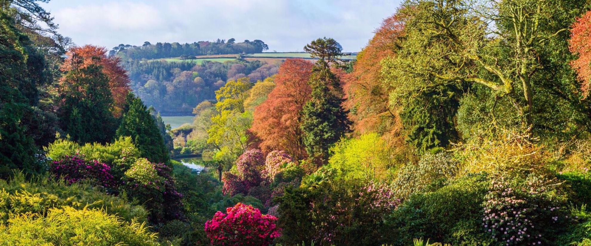 Trebah Gardens Trebah Gardens