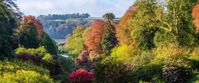 Trebah Gardens Trebah Gardens