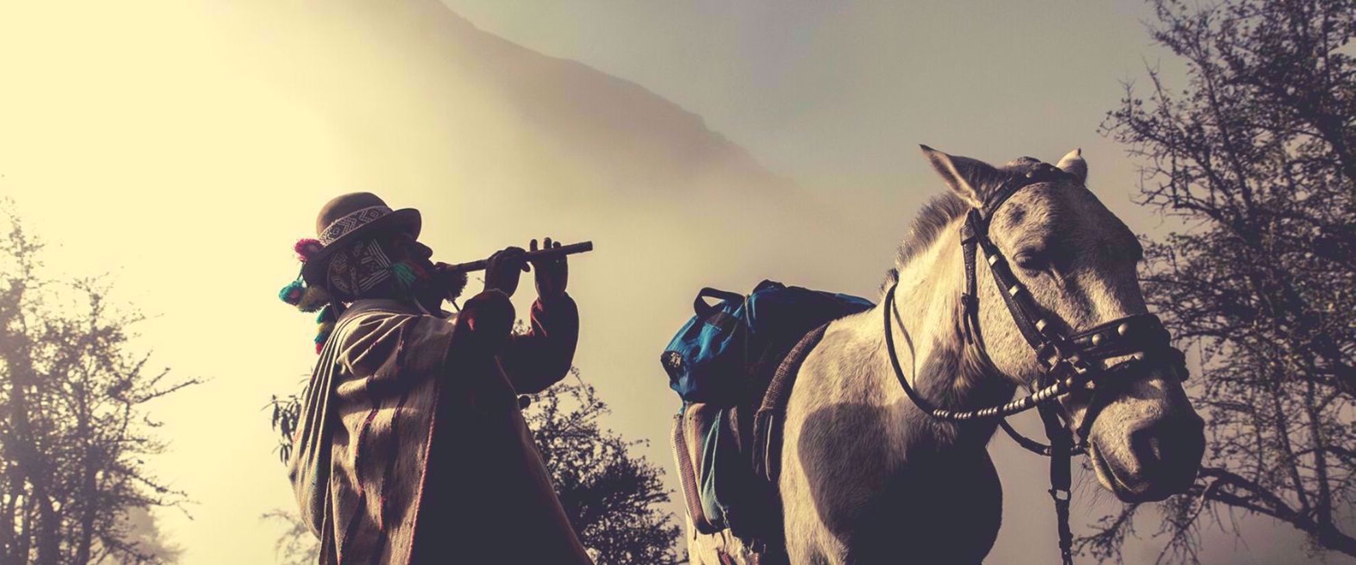 Picture of Trekking to Machu Picchu Picture of Trekking to Machu Picchu