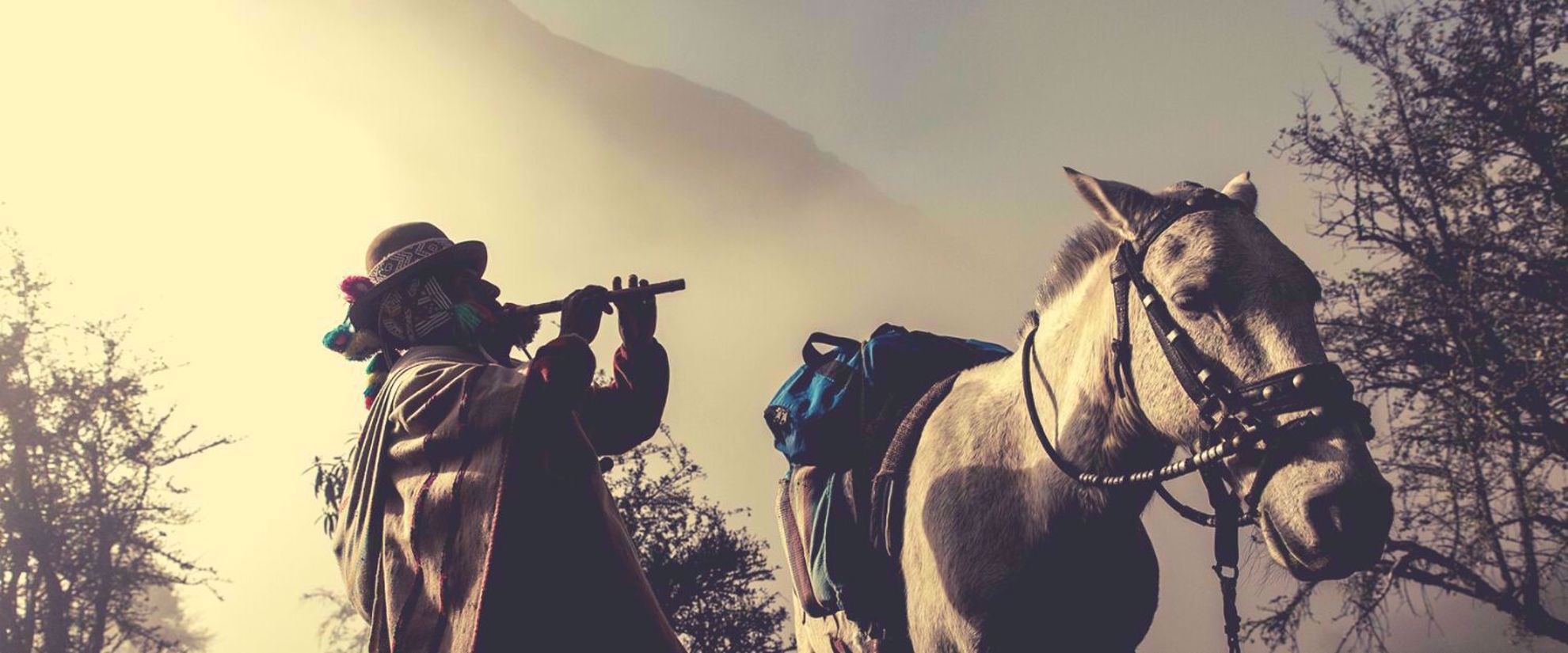 Picture of Trekking to Machu Picchu