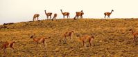 Picture of Adventures in Patagonia Picture of Adventures in Patagonia