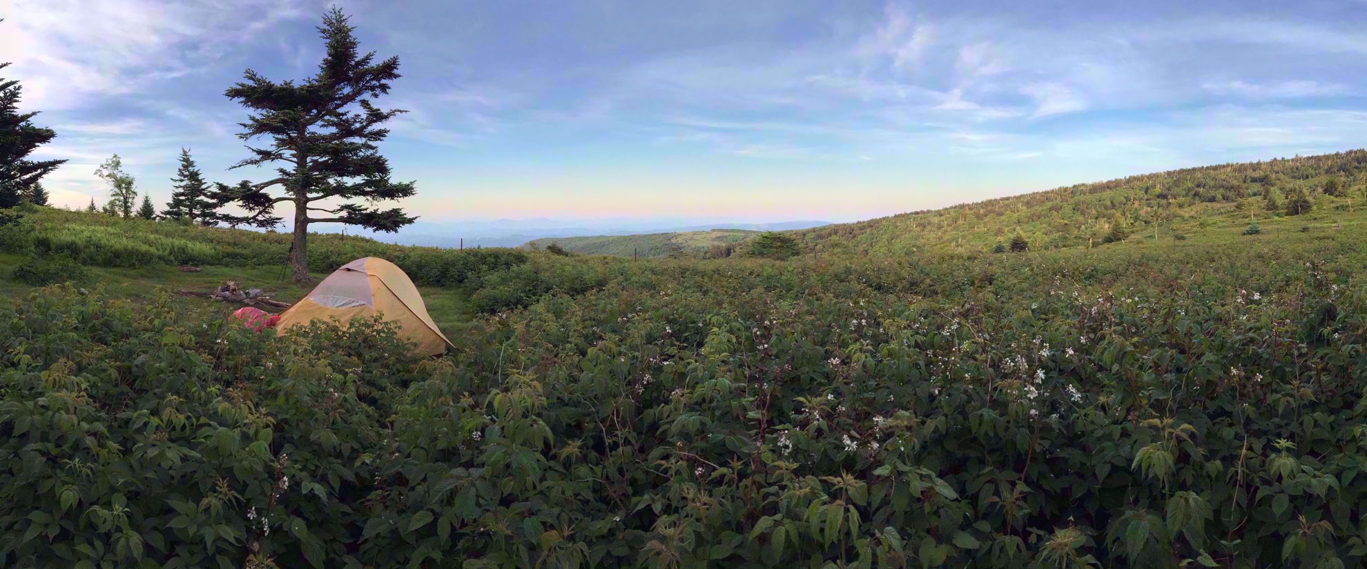 Backpacking North Carolina Balds Adventures in Good Company
