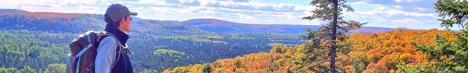 Fall