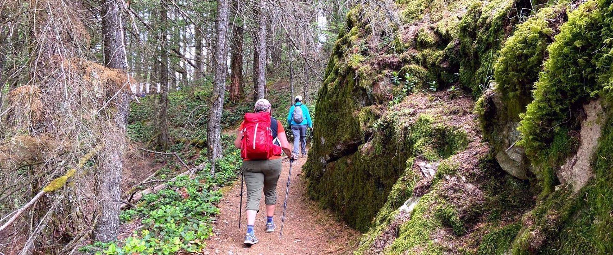 Picture of San Juan Islands Exploration