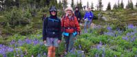 Picture of Hiking Hut to Hut in British Columbia hiking through wildflowers in the wells gray