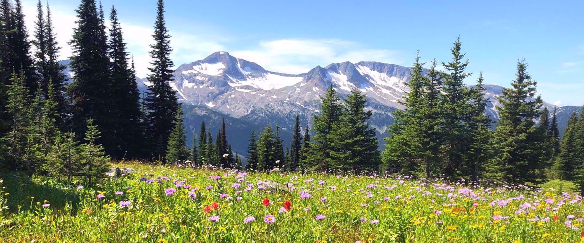 scenic landscapes hiking in Canada