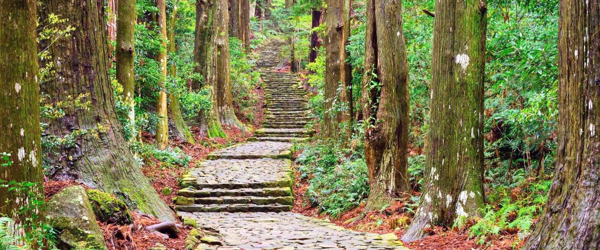 the Kumano Kodo pilgrimage trail