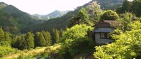 breathtaking scenery of the Kumano Kodo pilgrimage trail