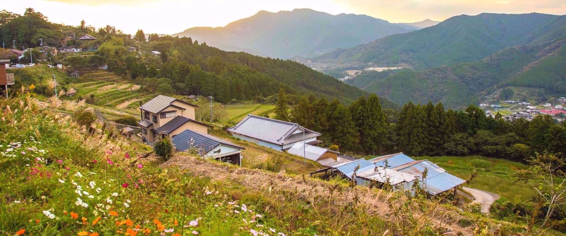 women's active travel to japan