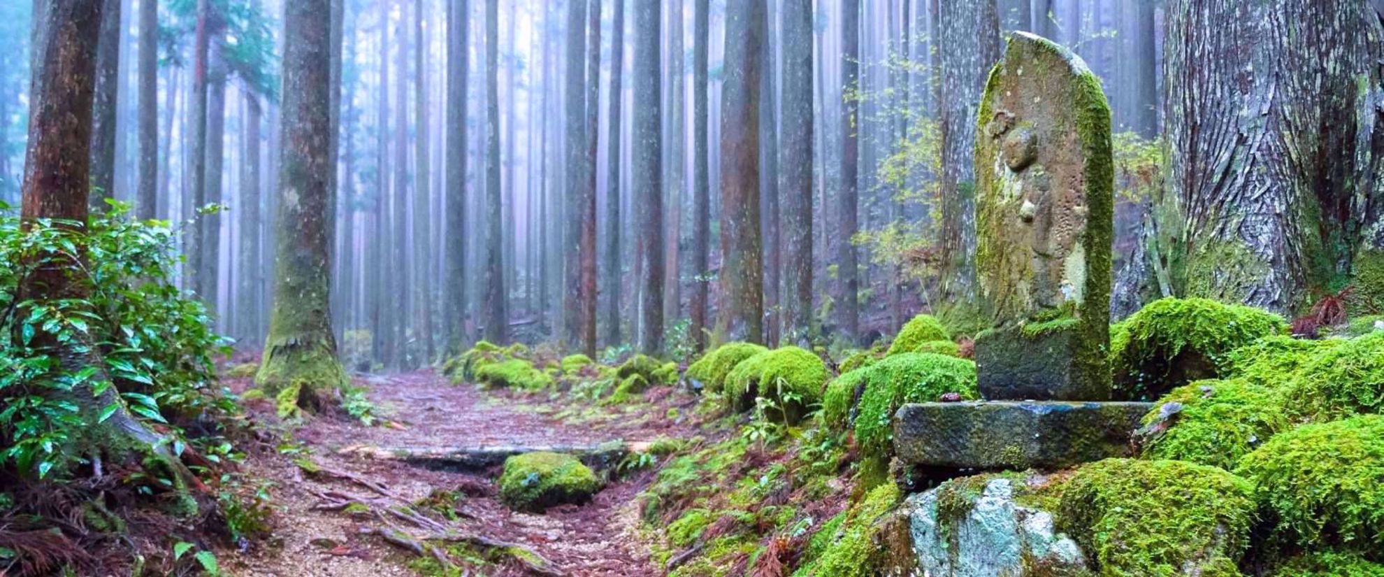 ancient culture along the kumano kodo trail