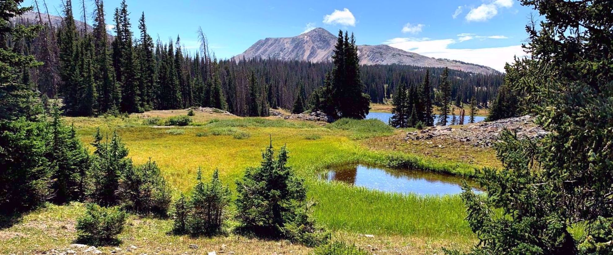 summer mountain hiking in wyoming