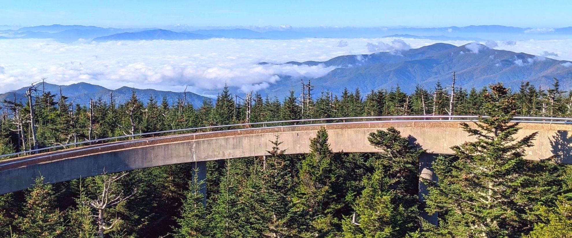 group travel to clingman's dome