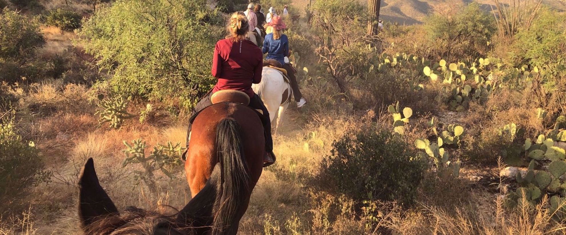 horseback riding at tanque verde ranch Picture of Arizona Hike & Sketch