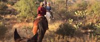 horseback riding at tanque verde ranch Picture of Arizona Hike & Sketch