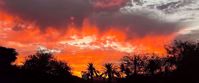 arizona desert sunset Picture of Arizona Hike & Sketch