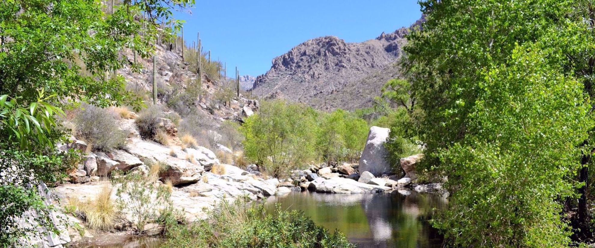 hiking Sabino Canyon Arizona Picture of Arizona Hike & Sketch