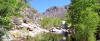 hiking Sabino Canyon Arizona Picture of Arizona Hike & Sketch