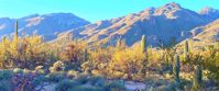 women's hiking tour to Saguaro National Forest Picture of Arizona Hike & Sketch