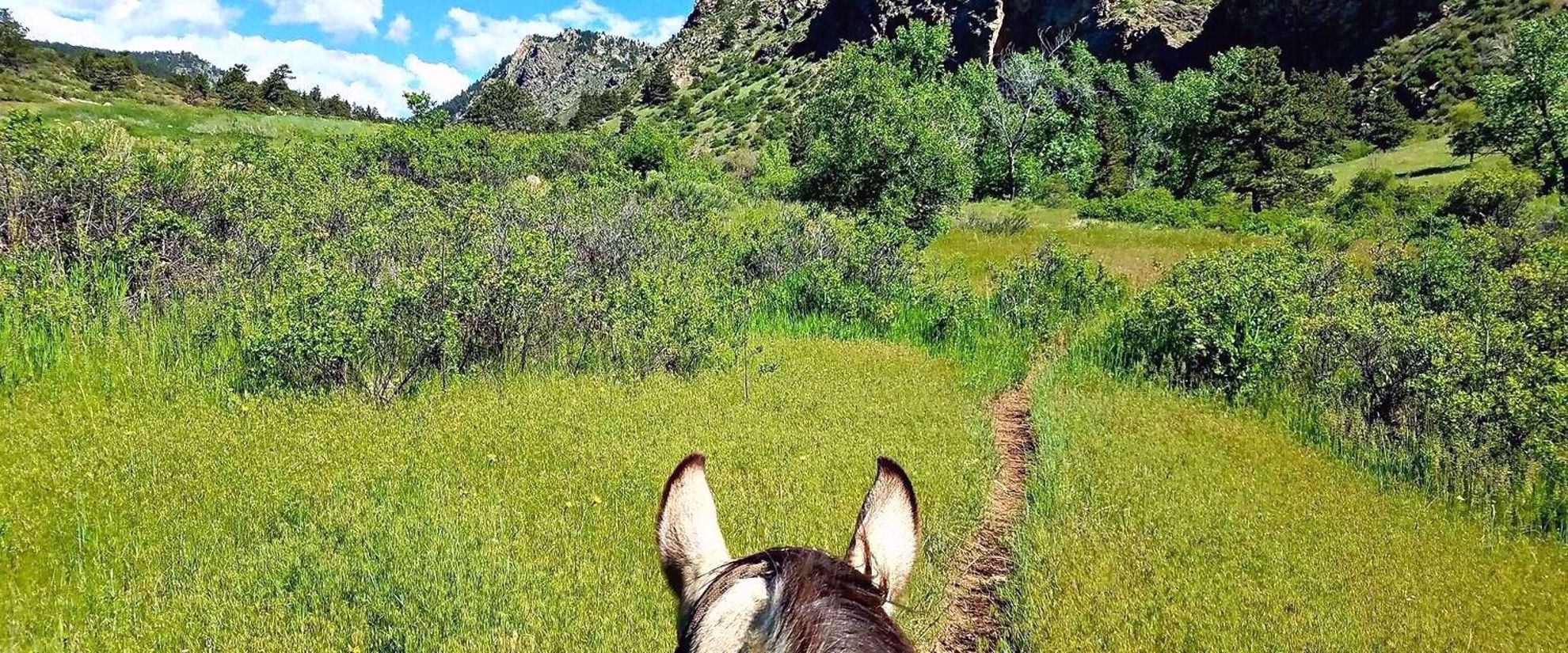 Picture of Colorado Horseback Riding and Hiking horseback riding in Colorado