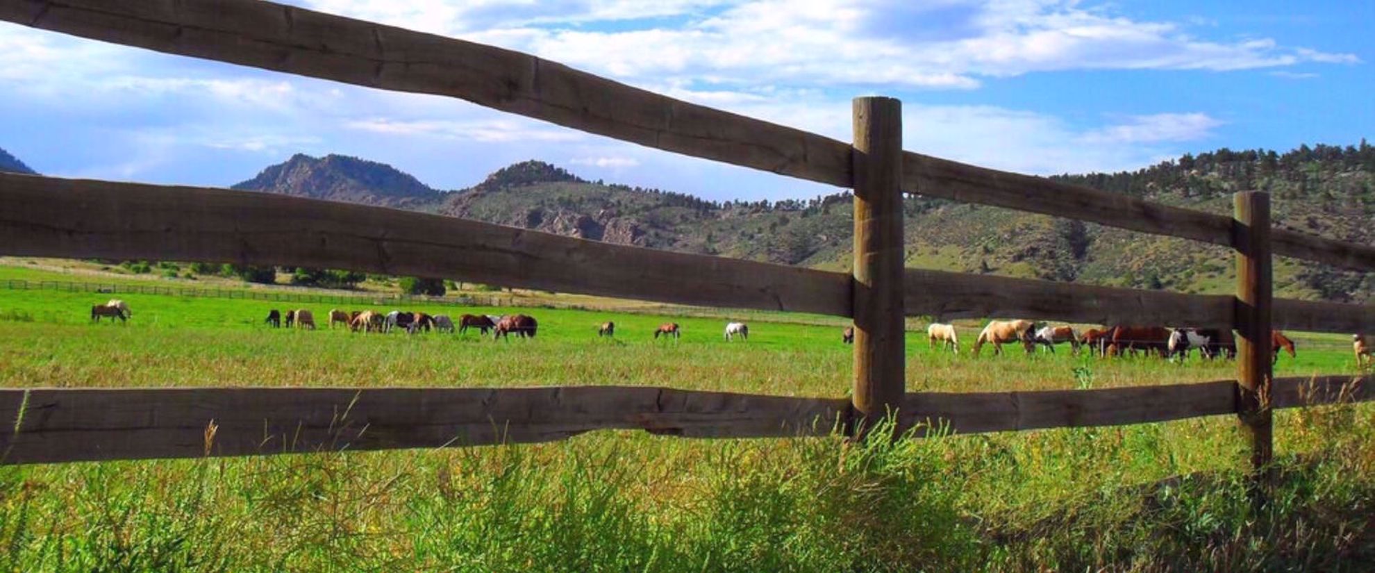 relax on a horseback riding and hiking trip in colorado