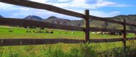 Picture of Colorado Horseback Riding and Hiking relax on a horseback riding and hiking trip in colorado