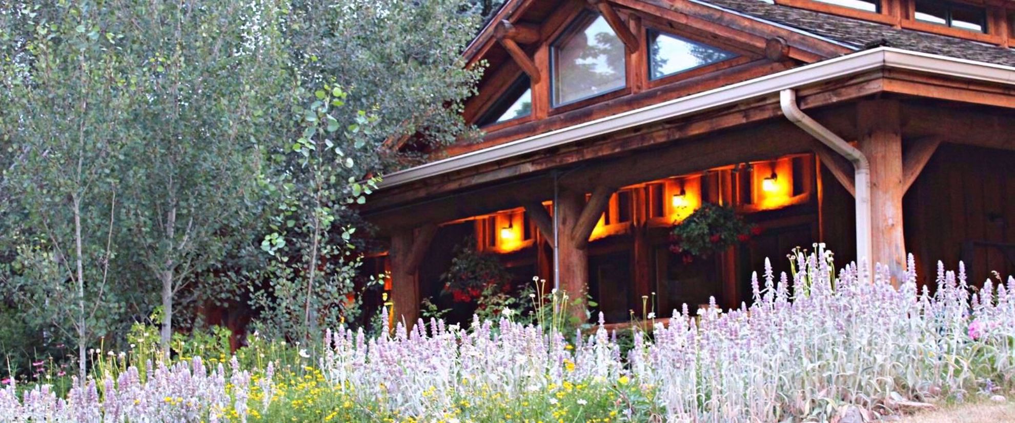 Picture of Colorado Horseback Riding and Hiking wildflowers at sylvandale ranch