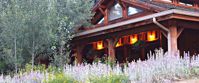 Picture of Colorado Horseback Riding and Hiking wildflowers at sylvandale ranch