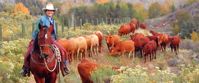 Picture of Colorado Horseback Riding and Hiking getaway to a dude ranch