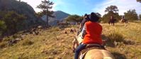 Picture of Colorado Horseback Riding and Hiking spotting wildlife along your trail ride