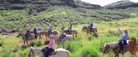 Picture of Colorado Horseback Riding and Hiking women's horse trip in colorado