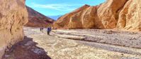 Picture of Death Valley Delights hiking in spring in death valley national park