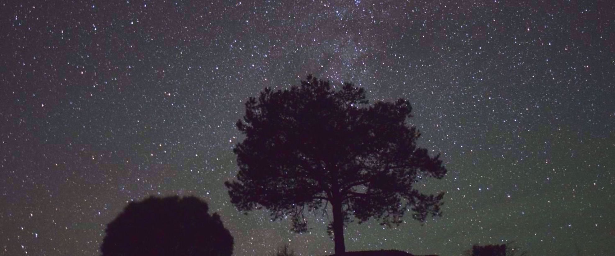star gazing the dark skies of big bend national park