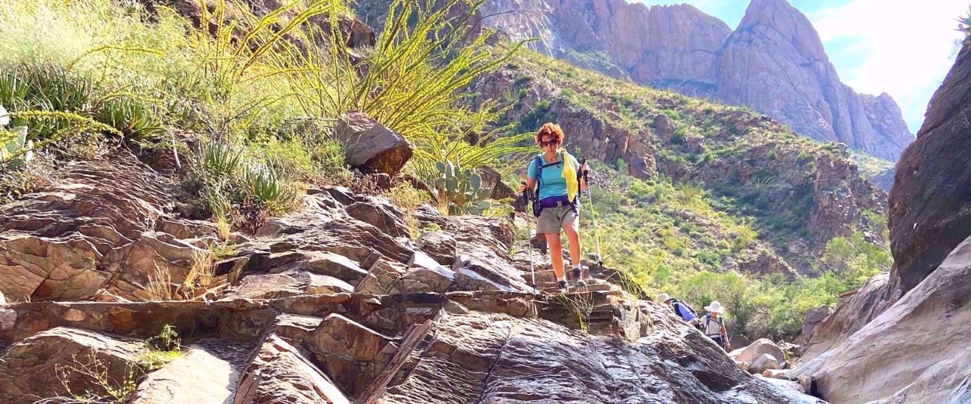 women's hiking tour to big bend national park