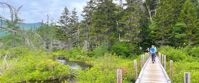 hiking in the white mountains