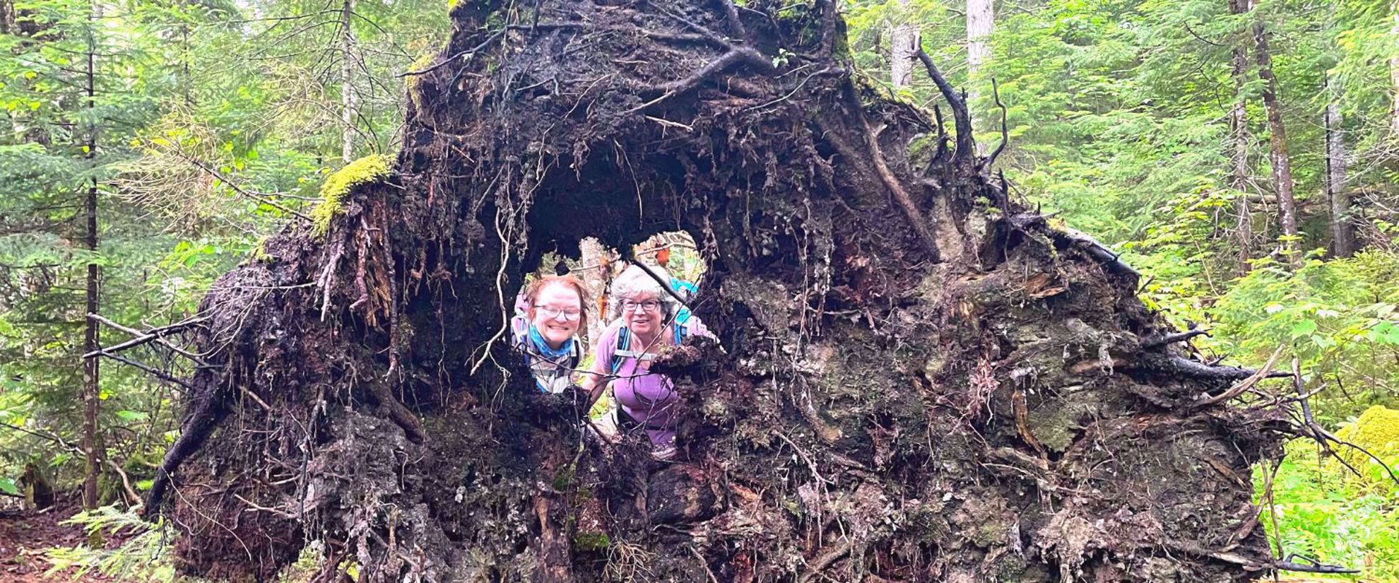 fun along the trail hiking the white mountains