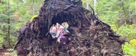 fun along the trail hiking the white mountains