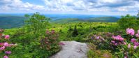 Picture of Intro to Lightweight Backpacking on the AT the beauty of the AT
