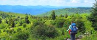 Picture of Intro to Lightweight Backpacking on the AT explore the AT with a women's adventure tour