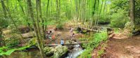 Picture of Intro to Lightweight Backpacking on the AT explore the wilderness of the AT with a group