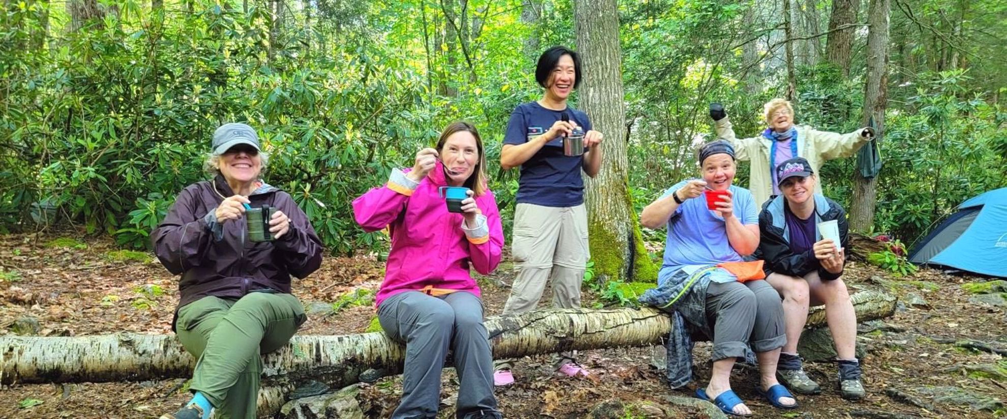 learn to cook in the wilderness