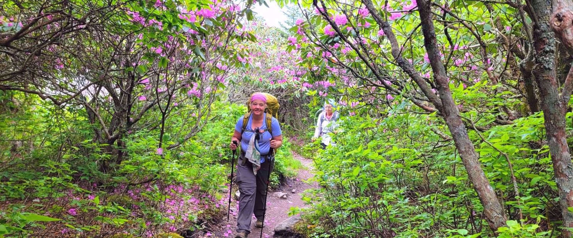 backpack when the flowers are in bloom