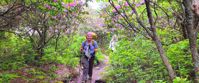 Picture of Intro to Lightweight Backpacking on the AT backpack when the flowers are in bloom