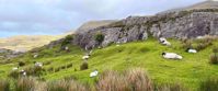 Wonder at the green hills of Ireland