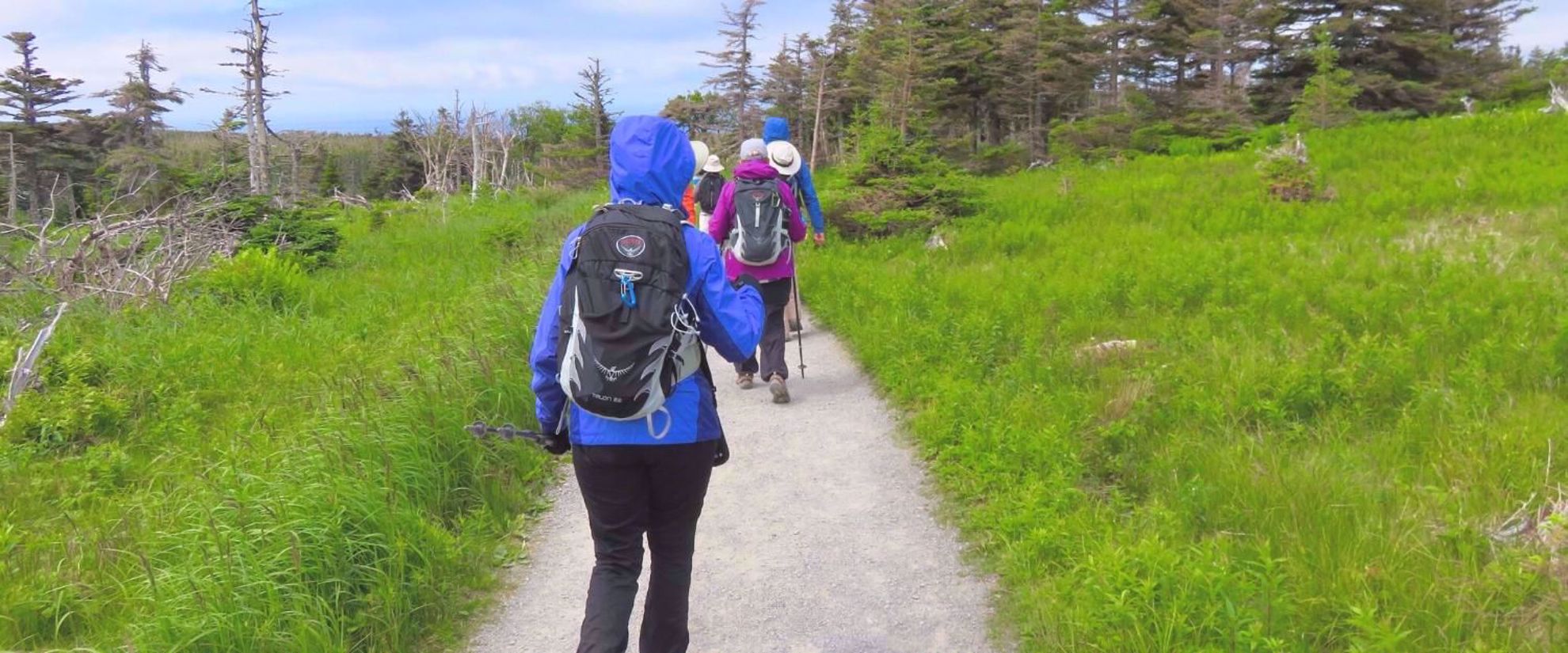 hiking the wilderness of Nova Scotia