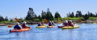 Picture of Highlights of Nova Scotia kayaking on a women's adventure tour