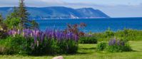 stunning views along the coast of Nova Scotia