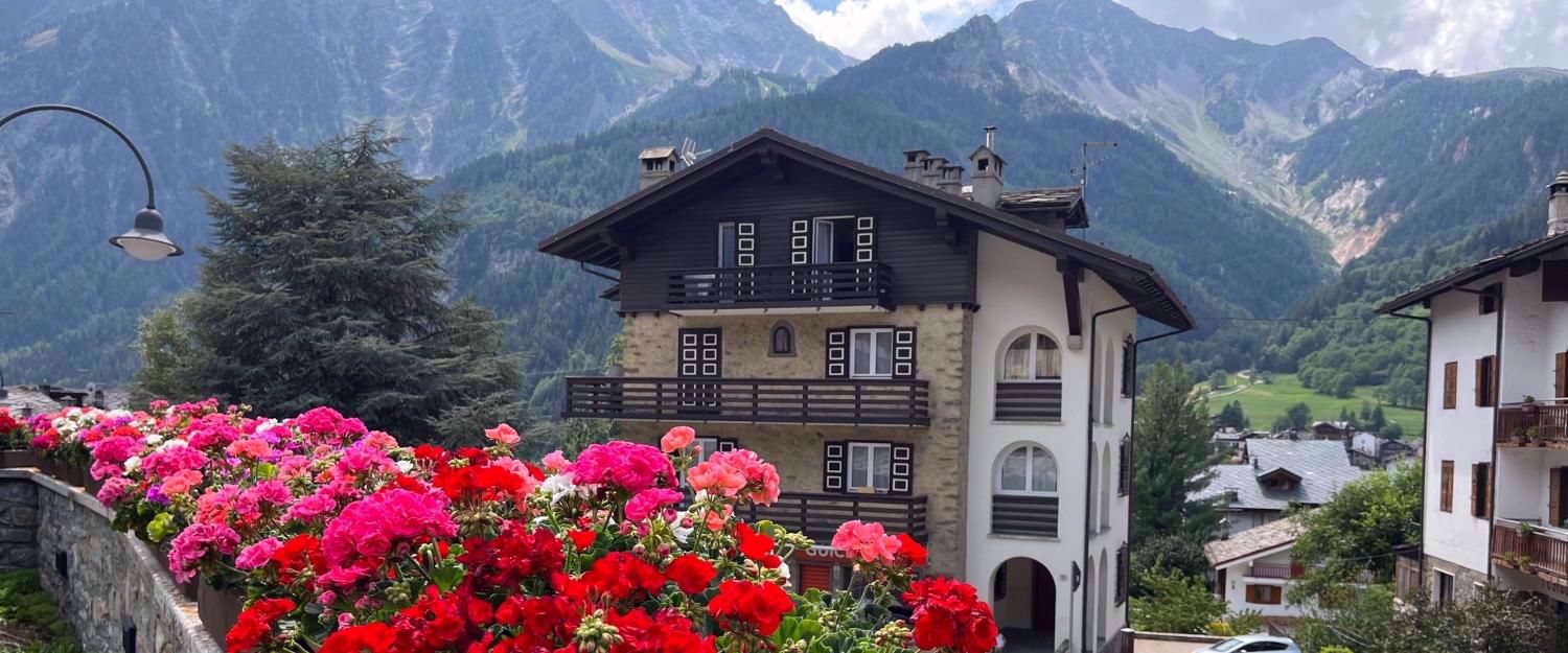 Tour du Mont Blanc Highlights: Trekking, Hiking and Culture | Chamonix, France