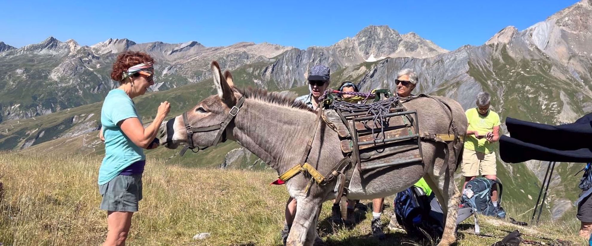 Tour du Mont Blanc Highlights: Trekking, Hiking and Culture | Chamonix, France