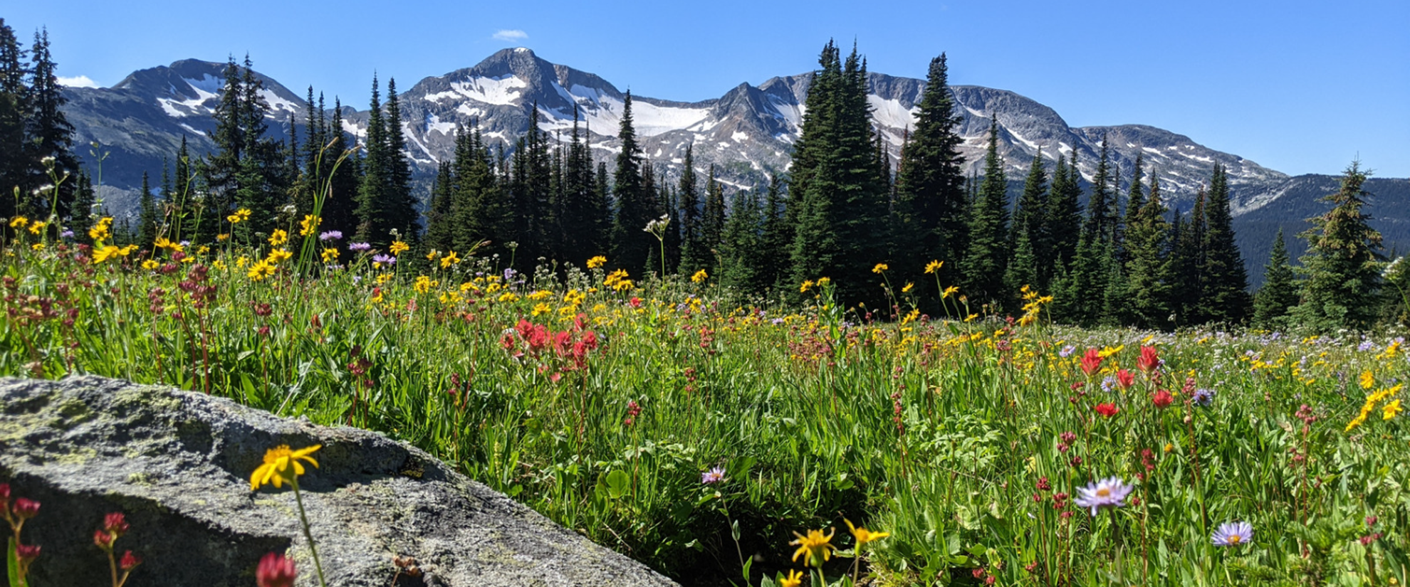 hiking hut to hut with women's travel in british columbia